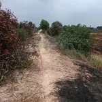 Bán đất lúa 9960m2 Tân Tây Thạnh Hóa Long An 2,1 tỷ - Ảnh thu nhỏ 1