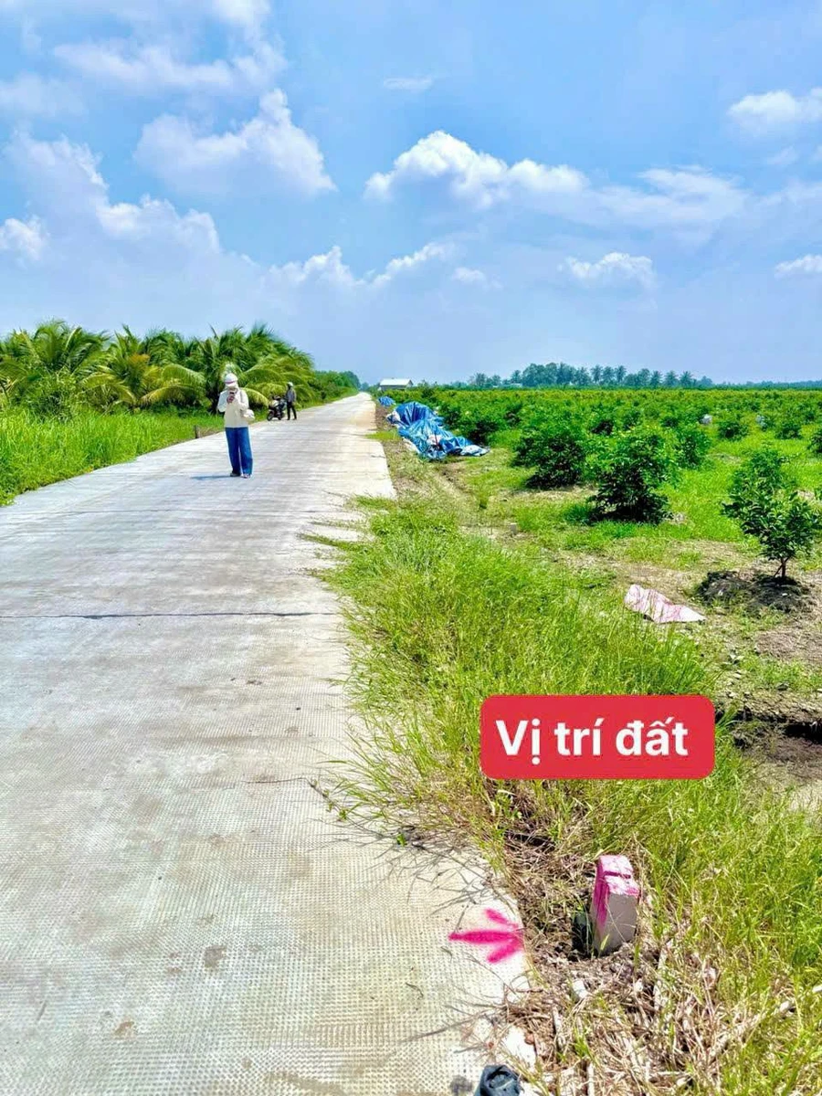 Bán đất nền 500m² Thạnh Lợi Tây Ninh, giá 560 triệu/500m² - Ảnh thu nhỏ 3