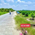 Bán đất nền 500m² Thạnh Lợi Tây Ninh, giá 560 triệu/500m² - Ảnh thu nhỏ 3
