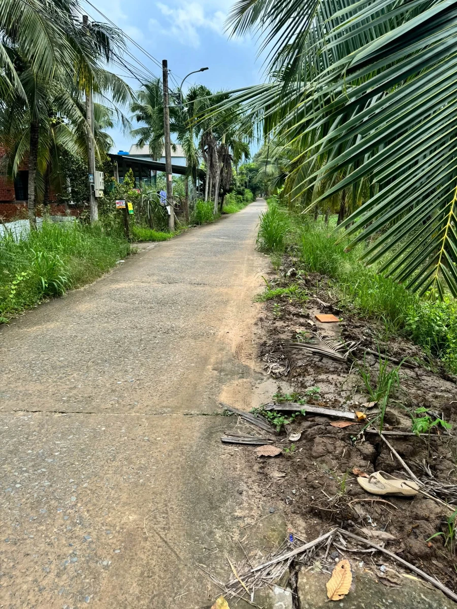 Bán nhà vườn 2200m2 Phú Hào Bến Tre 4 tỷ 990 - Ảnh thu nhỏ 2