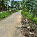 Bán nhà vườn 2200m2 Phú Hào Bến Tre 4 tỷ 990 - Ảnh thu nhỏ 2