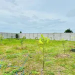 Bán đất quy hoạch thổ cư 1.2 sào Hàm Liêm 1 tỷ 150 triệu - Ảnh thu nhỏ 1