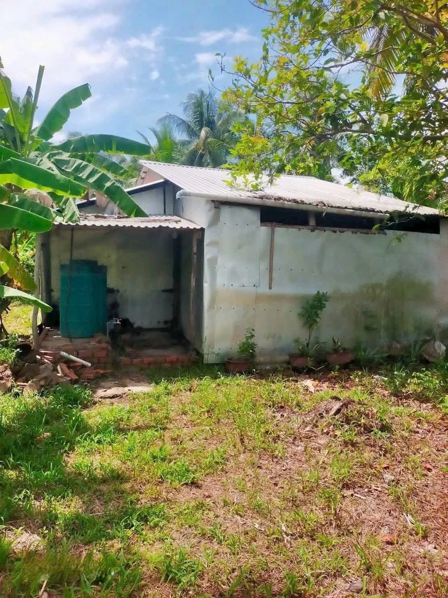 Bán đất vườn dừa 2700m² tại Xã Lương Phú, Bến Tre - Ảnh thu nhỏ 3