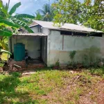 Bán đất vườn dừa 2700m² tại Xã Lương Phú, Bến Tre - Ảnh thu nhỏ 3