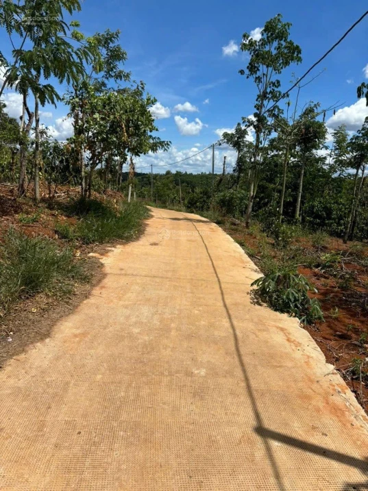 Bán lô đất vườn full cà phê và tiêu có thổ cư 680tr/2000m2 sẵn 300m2 thổ cư đường bêtông 0938 609 *** - Ảnh thu nhỏ 5
