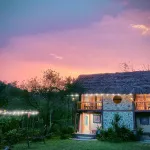 Cần chuyển nhượng villa hơn 4000M vận hành tốt Cao Dương Lương Sơn Phú Thọ (Hòa Bình cũ) 13,x tỷ - Ảnh thu nhỏ 13