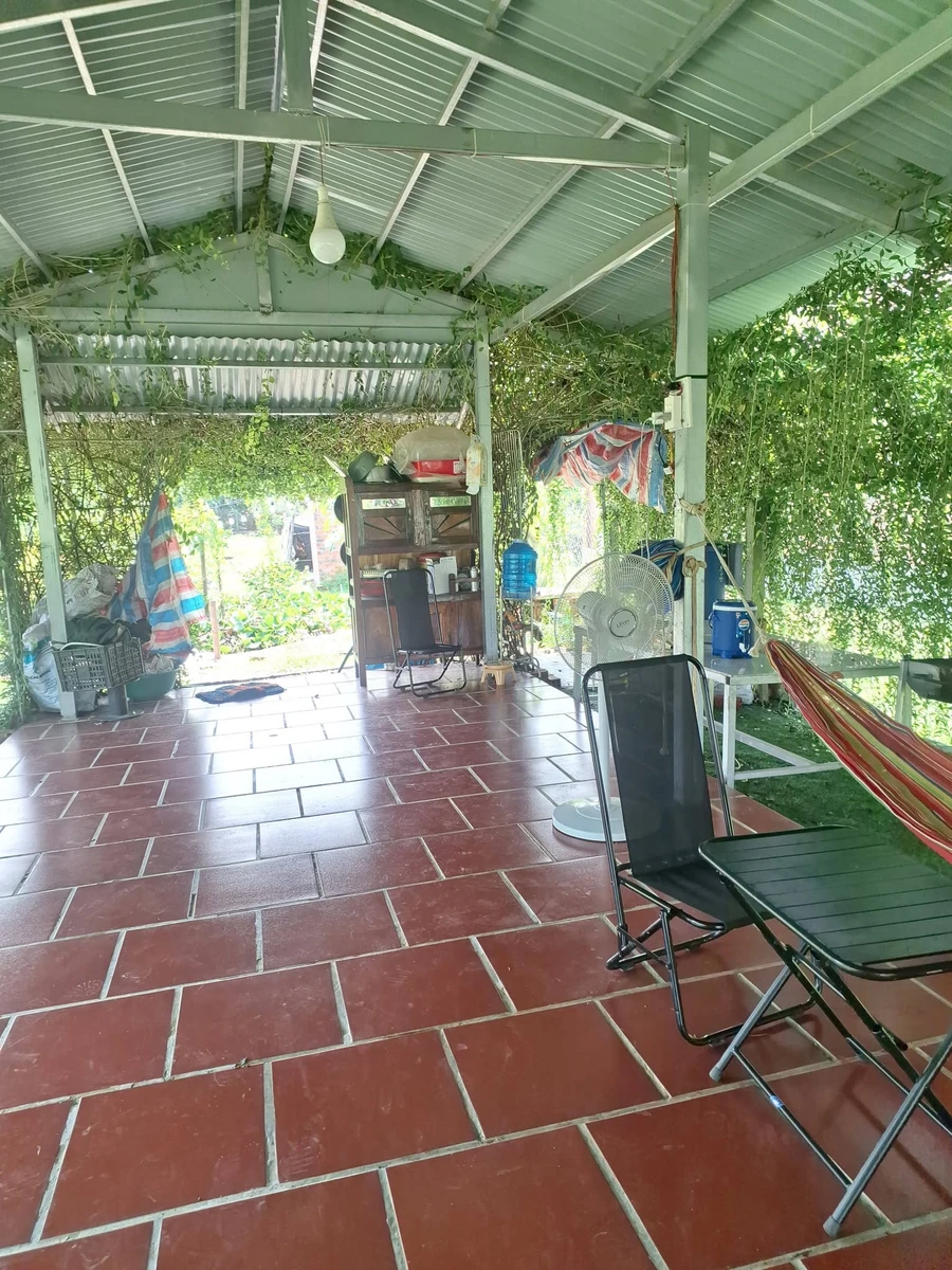 Bán nhà vườn 1000m² xã Long Thuận Tây Ninh - Ảnh thu nhỏ 3