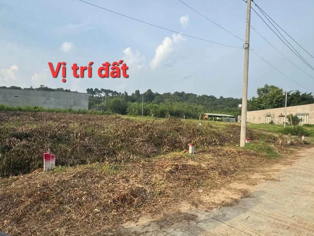 Bán 2 nền đất liền kề thị trấn Định Quán 340m², 599 triệu - Ảnh thu nhỏ 3