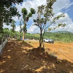 Bán đất nghỉ dưỡng 622m² Hợp Phong Hòa Bình giá 599 triệu - Ảnh thu nhỏ 4