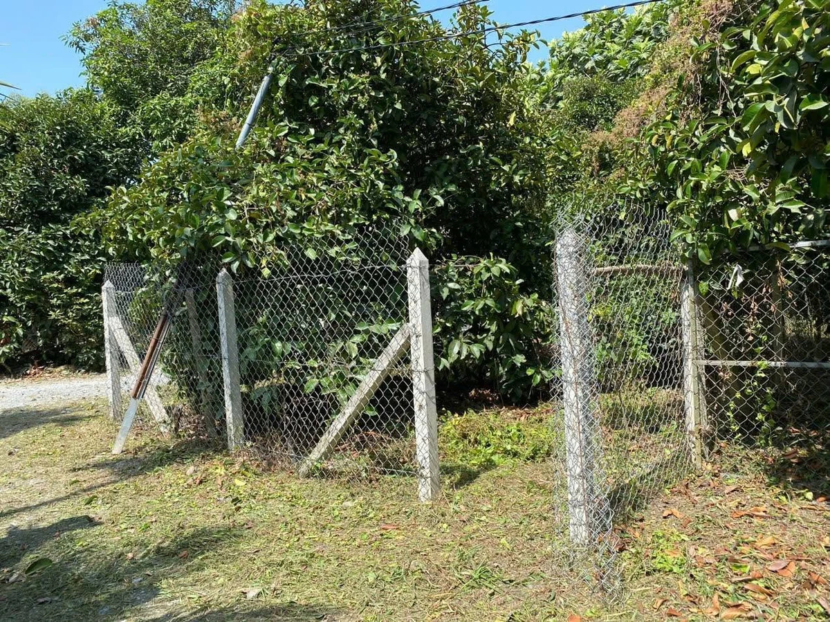 Bán lô đất 2 mặt tiền 120m², Đường An Thạnh, Thuận An, Bình Dương 2.2 tỷ - Ảnh thu nhỏ 5