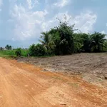 Bán đất nền 300m2 Tây Ninh 495 triệu - Ảnh thu nhỏ 3