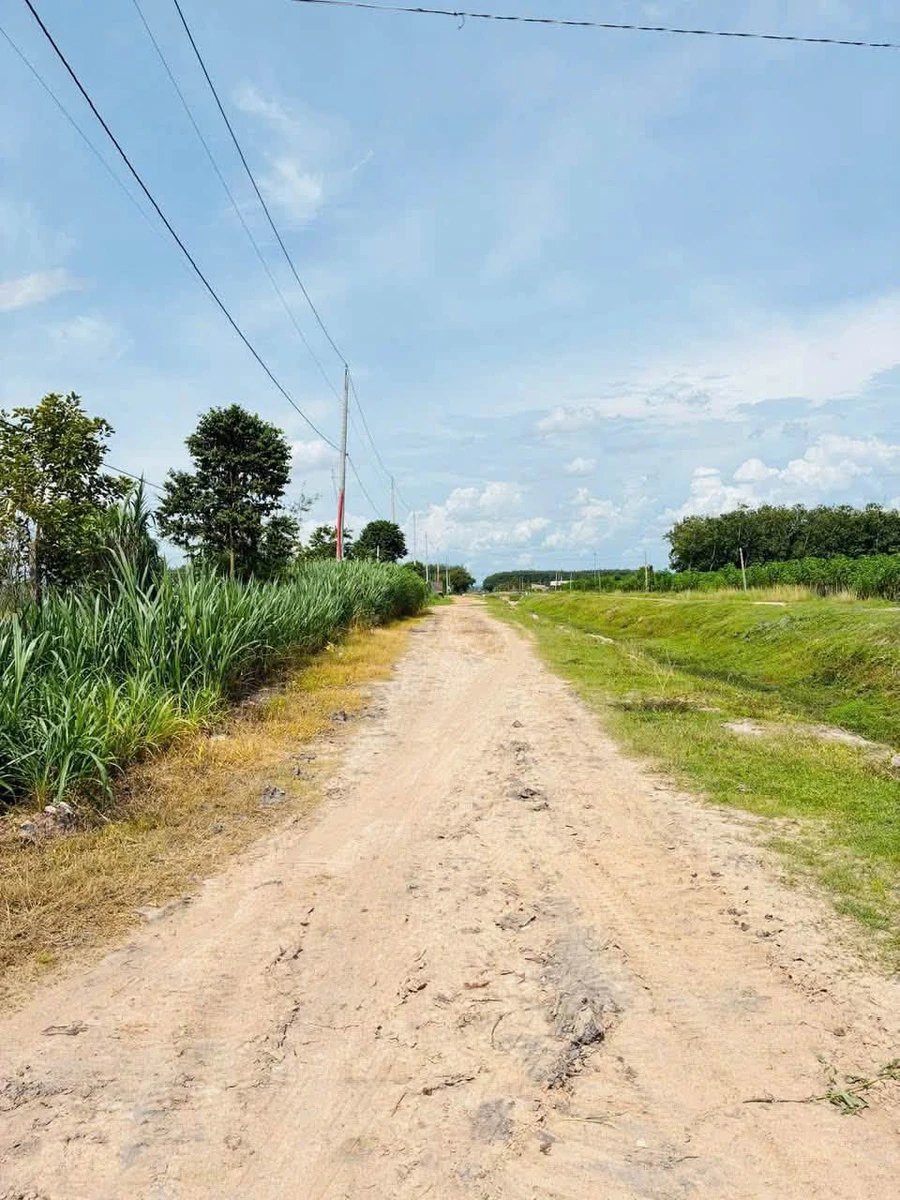 Bán đất 5x100m (500m2, 50m2 thổ cư) xã Phan, Dương Minh Châu, Tây Ninh giá 280 triệu - Ảnh thu nhỏ 4