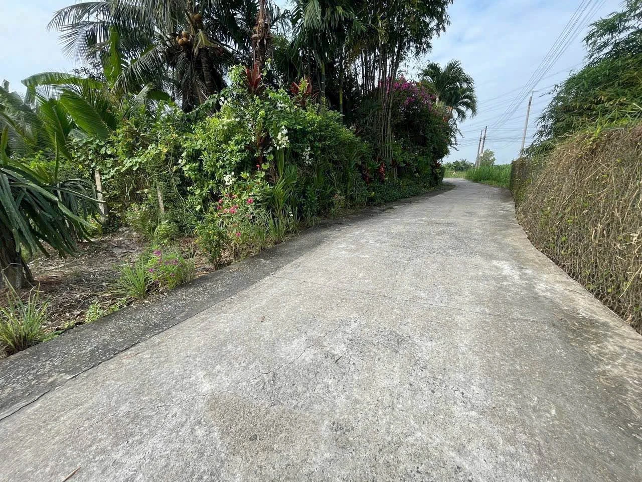 Bán đất thổ cư 5x45m sổ hồng riêng giá 599 triệu tại xã Vĩnh Công, Tây Ninh - Ảnh 1