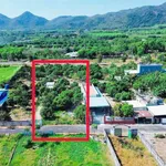 Bán vườn xoài Phước Hải, BRVT, 2000 m², 7,2 tỷ - Ảnh thu nhỏ 4