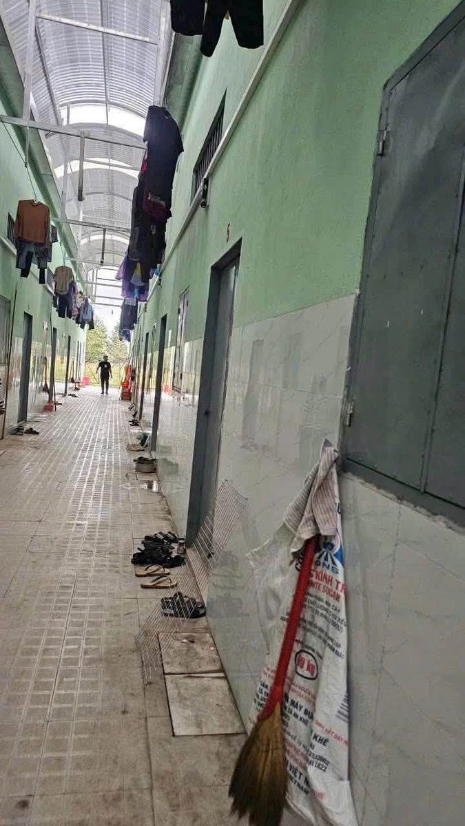 Bán dãy trọ 560m² 19 phòng Tân Uyên 11 tỷ 500 triệu - Ảnh thu nhỏ 2