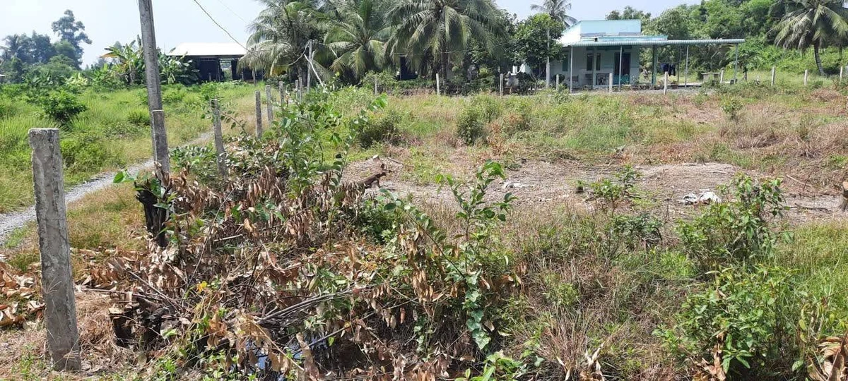 Bán đất vườn 2500 m² Lương Hòa, Bến Lức, Long An - Ảnh thu nhỏ 5