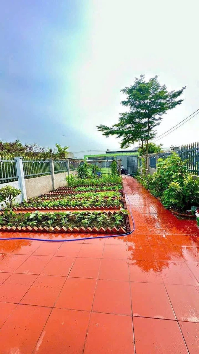 Bán nhà sân vườn 310m² 2PN tại Cần Giuộc Long An 2 tỷ 780 triệu - Ảnh thu nhỏ 3