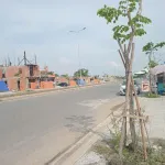 Bán đất tại đường 823D, xã Hoà Khánh Đông, 2,65 tỷ, 85m2 lô góc mặt tiền đường 40m, 3 mét bên hông - Ảnh thu nhỏ 10