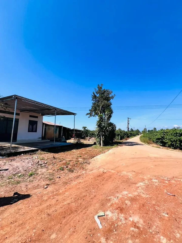 Bán đất nguyên lô 160m² Xã Biển Hồ 250 triệu