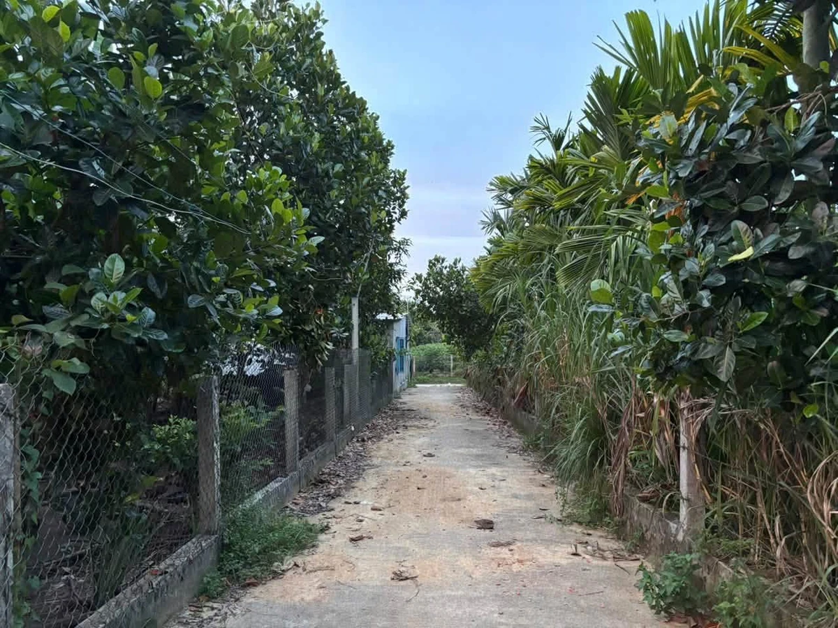 Bán nhà vườn nghỉ dưỡng 1100m² tại Quảng Ngãi - Ảnh thu nhỏ 3