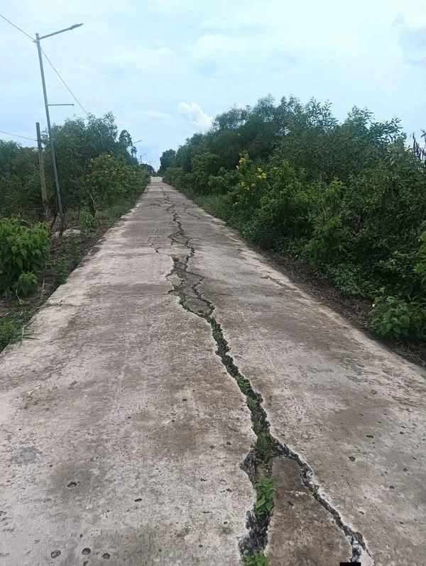 Bán 1 công 7 đất nền Tân Tây Thạnh, Long An
