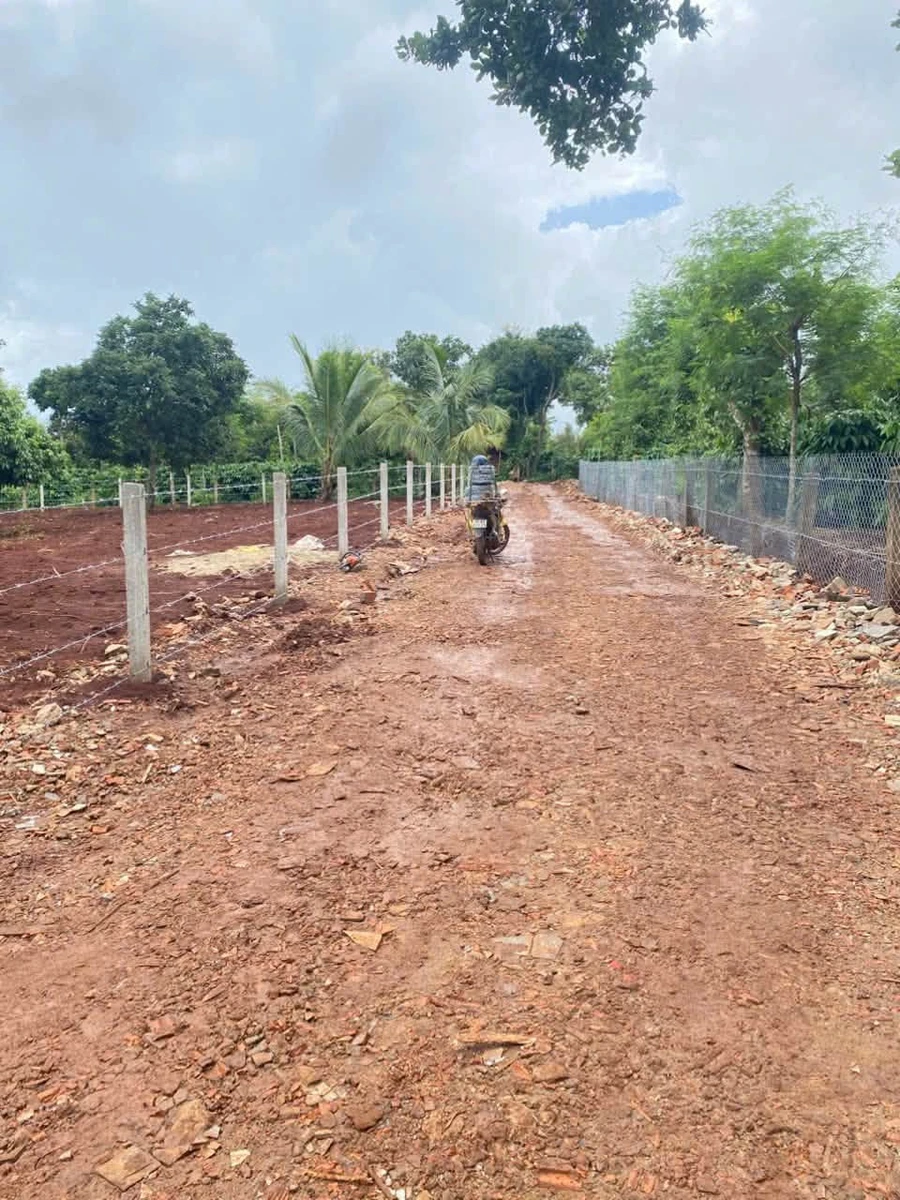 Bán đất mặt tiền Nhà Nước 504m², 759 triệu Phường Bình Mỹ Trung - Ảnh thu nhỏ 2