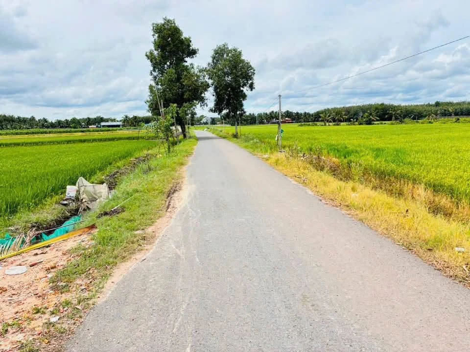 Bán đất nền mặt tiền nhựa DH13 khoảng 1000m2 giá 570 triệu tại Ninh Thạnh, Tây Ninh - Ảnh thu nhỏ 2