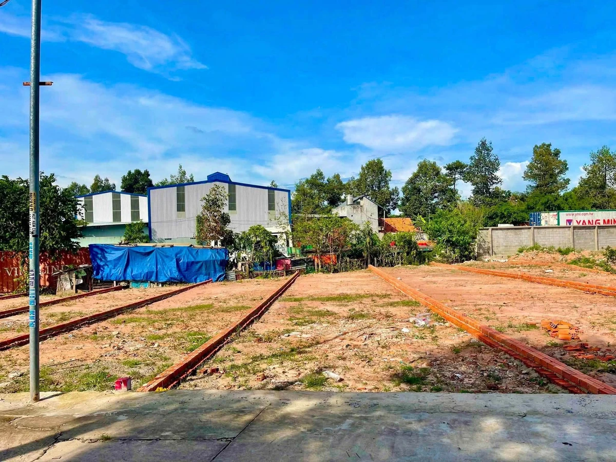 Bán đất 100m² đường DX43 Phú Mỹ, Bình Tân - Ảnh thu nhỏ 2