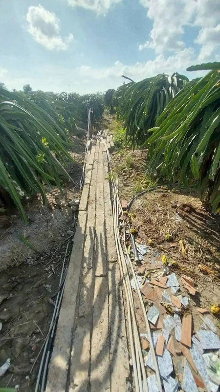 Bán đất thổ cư 650m2 giá 299 triệu tại Dương Xuân Hội, Châu Thành, Long An