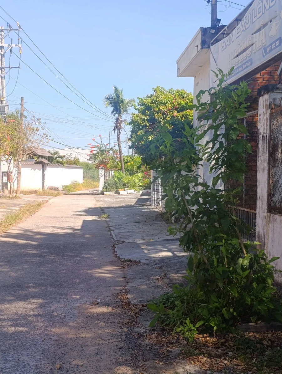 Bán đất vườn 500m² Hàm Mỹ Bình Thuận 1,8 tỷ - Ảnh thu nhỏ 3