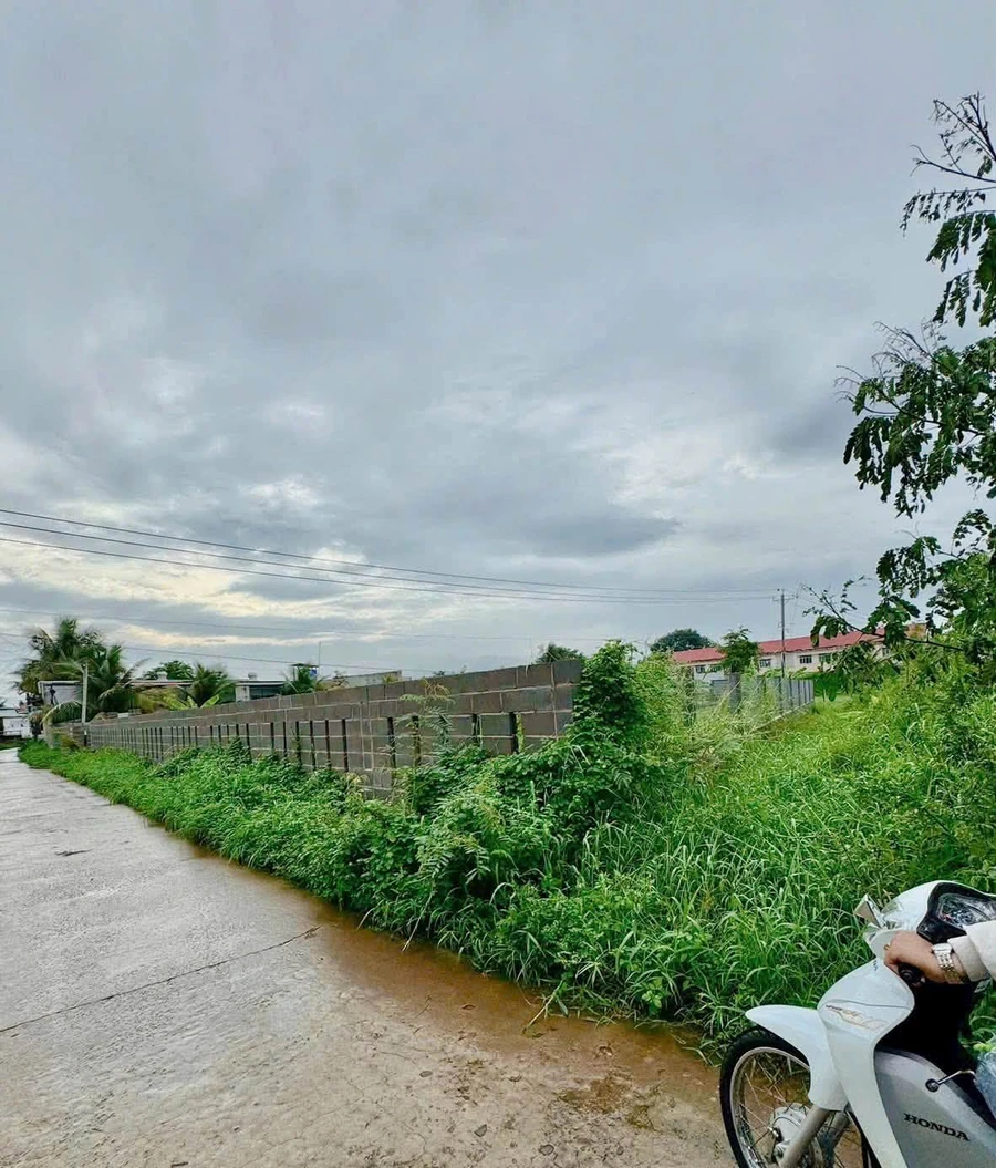 Bán đất 1 sào 2 Phú Long, Hàm Thắng 2,6 tỷ - Ảnh thu nhỏ 4