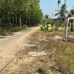 Bán đất mặt tiền 5x32x50m Tây Ninh 255 triệu - Ảnh thu nhỏ 1