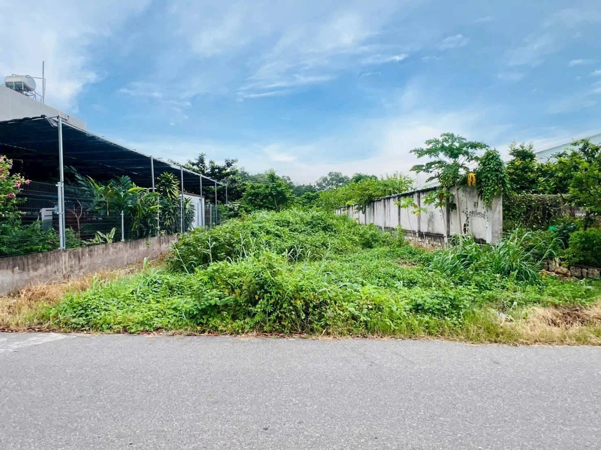 Bán đất nhà vườn mặt tiền Nguyễn Minh Khanh 279m², P. Long Tâm, TP. Bà Rịa, 4,38 tỷ - Ảnh thu nhỏ 2