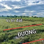 Bán lô đất trồng cây 336m2 cạnh KCN Phong Điền, Huế, giá 59 triệu - Ảnh thu nhỏ 3