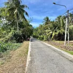 Bán đất mặt tiền Lộ Cù Là 1,6 tỷ, 1.455 m² - Ảnh thu nhỏ 2
