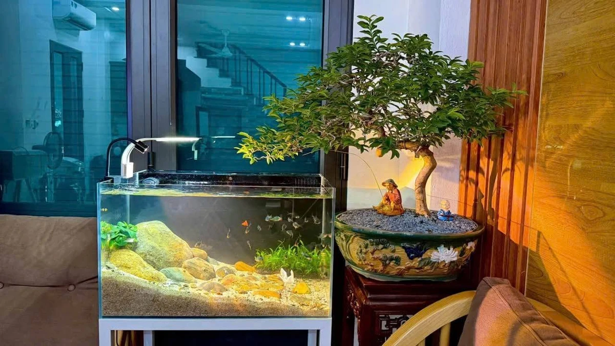 Bán nhà lô góc 42.5m2 3 phòng ngủ Bình Lộc - Ảnh thu nhỏ 5