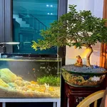 Bán nhà lô góc 42.5m2 3 phòng ngủ Bình Lộc - Ảnh thu nhỏ 5