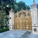 Bán đất nhánh Mỹ Phước 2, Bến Cát 330m² - Ảnh thu nhỏ 1