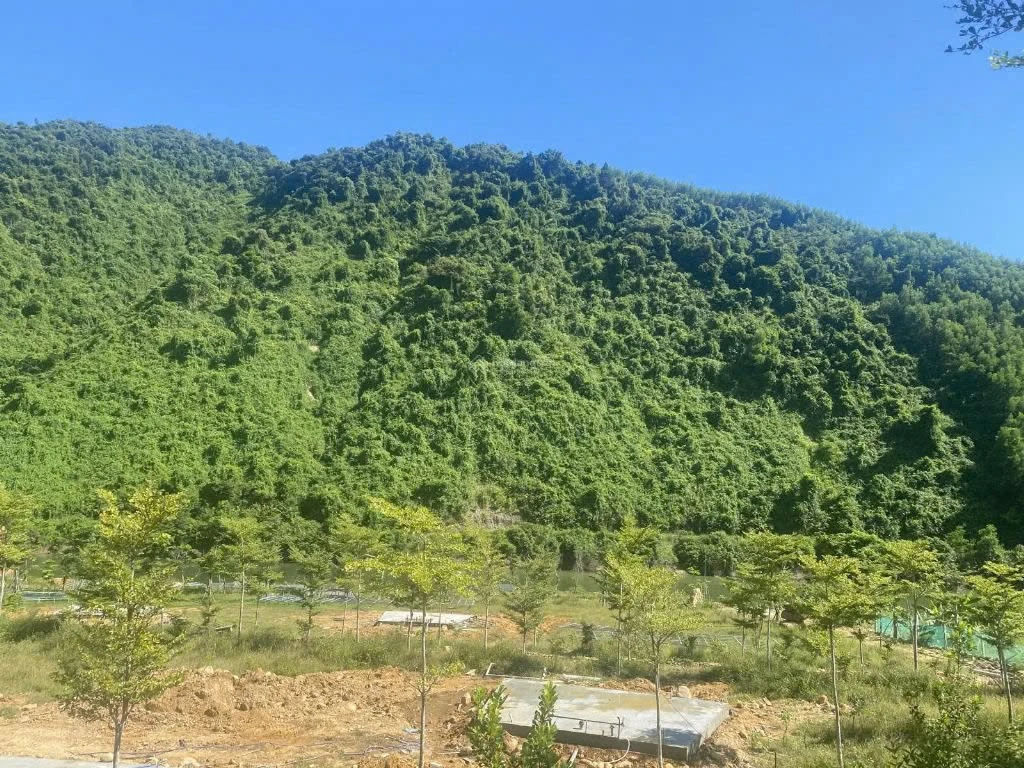 Bán đất 35.214m² Eco Farm Hoà Bắc Đà Nẵng 18 tỷ 300 - Ảnh thu nhỏ 5