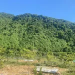 Bán đất 35.214m² Eco Farm Hoà Bắc Đà Nẵng 18 tỷ 300 - Ảnh thu nhỏ 5