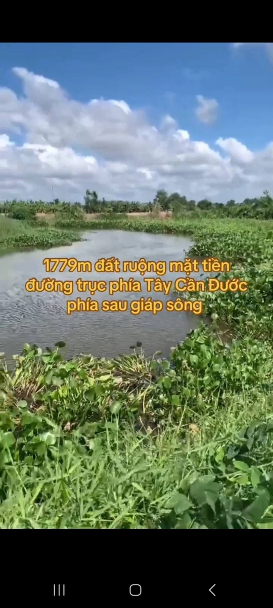 Bán đất nông nghiệp 1779m2 mặt tiền Cần Dước Long An - Ảnh 1