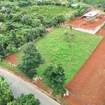 Bán đất mặt tiền đường 725 Tà Nung 1000m², Cam Ly, Nha Trang - Ảnh thu nhỏ 1