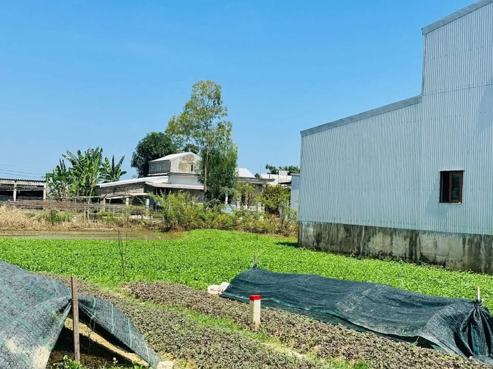 Bán lô góc 2 mặt tiền 190m² Hóa Châu TP Huế - Ảnh thu nhỏ 5