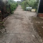 Bán đất thổ cư 8x32m hẻm xe hơi đường Võ Văn Môn, phường Long An, Tây Ninh - Ảnh thu nhỏ 4