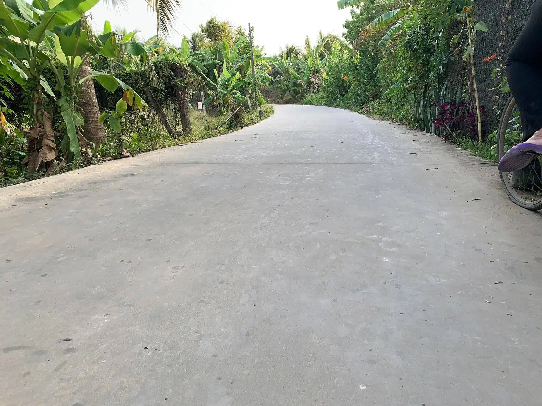 Bán đất nền 437m² Xã Phú Túc, gần cầu Rạch Miễu - Ảnh 1