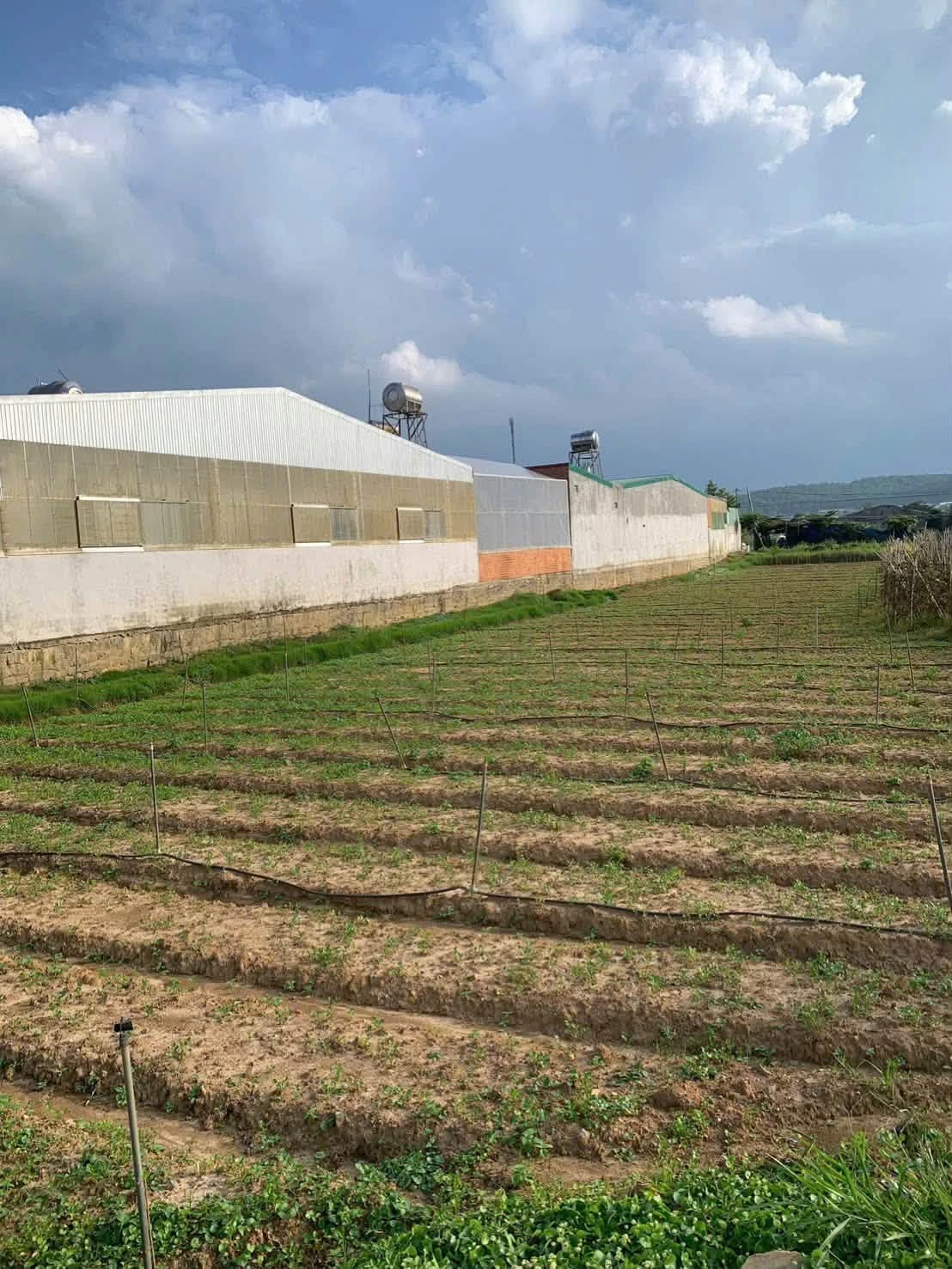 Bán đất nền Hiệp An Đà Lạt 194m2 giá 1 tỷ 450 - Ảnh 1