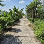 Bán đất tại Phường Mỹ Hòa, thành phố Long Xuyên (nay là phường Long Xuyên), tỉnh An Giang - Ảnh thu nhỏ 6