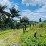 Bán đất 488m2 Thuận Thành Hàm Liêm Phan Thiết 450 triệu - Ảnh thu nhỏ 4