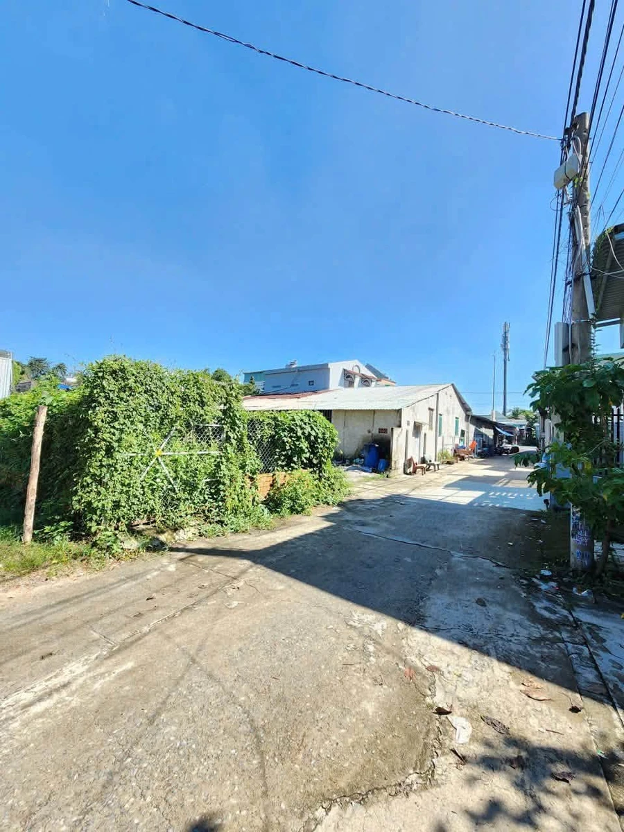 Bán đất 153,5m2 gần Nguyễn Chí Thanh, Bình Nhâm, Bình Tân - Ảnh thu nhỏ 5