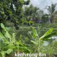 Đất gần biển, view kênh mặt tiền nhựa ĐT871C xã Tân Điền, Gò Công Đông Tiền Giang, 359 m2 giá 1,4tỷ - Ảnh thu nhỏ 11